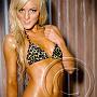 portfolios_009