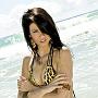 portfolios_066