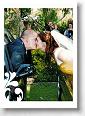 Weddings_061