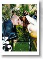 weddings_014