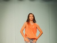 DSC 8074 : Fusion Concert 2013