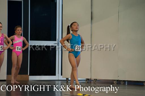 DSC 4239